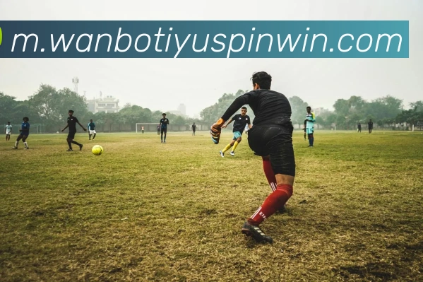 万博体育服务体系